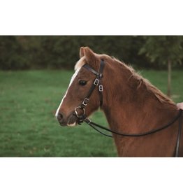 Western Rawhide Plain Pony Headstall W/ Reins Chestnut