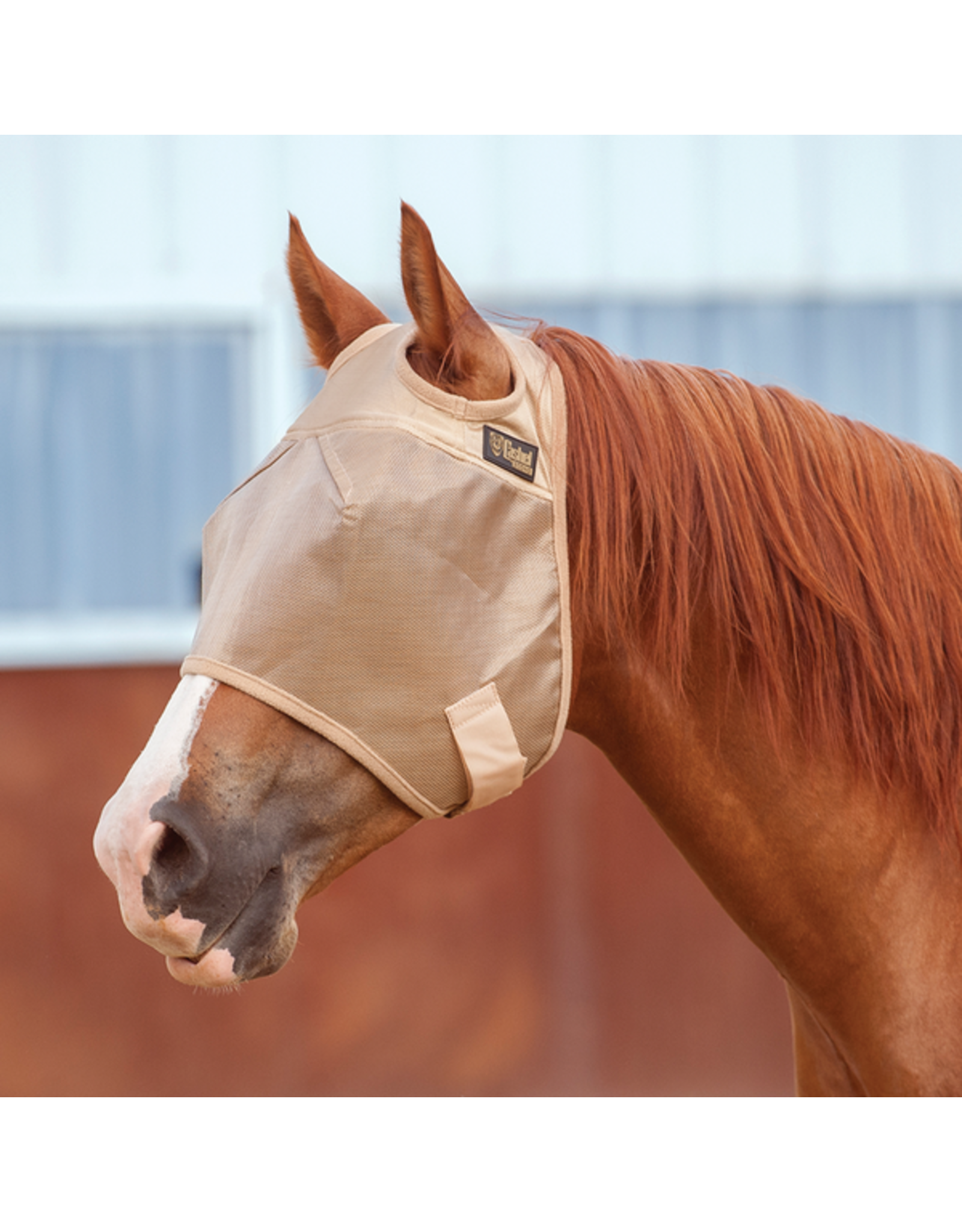 Cashel Cashel Standard Economy Fly Mask