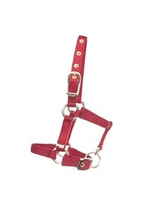 Hamilton Hamilton Mini Halter