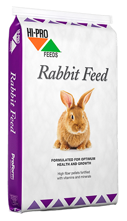 rabbit feed