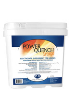 Simply Equine Power Quench Electrolyte Supplement Orange