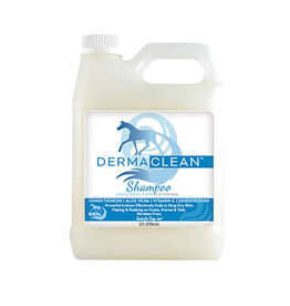 Healthy Hair Care Derma Clean Shampoo 32OZ~