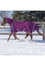 Canadian Horsewear Canadian Horsewear 160gm Insulated Rainsheet
