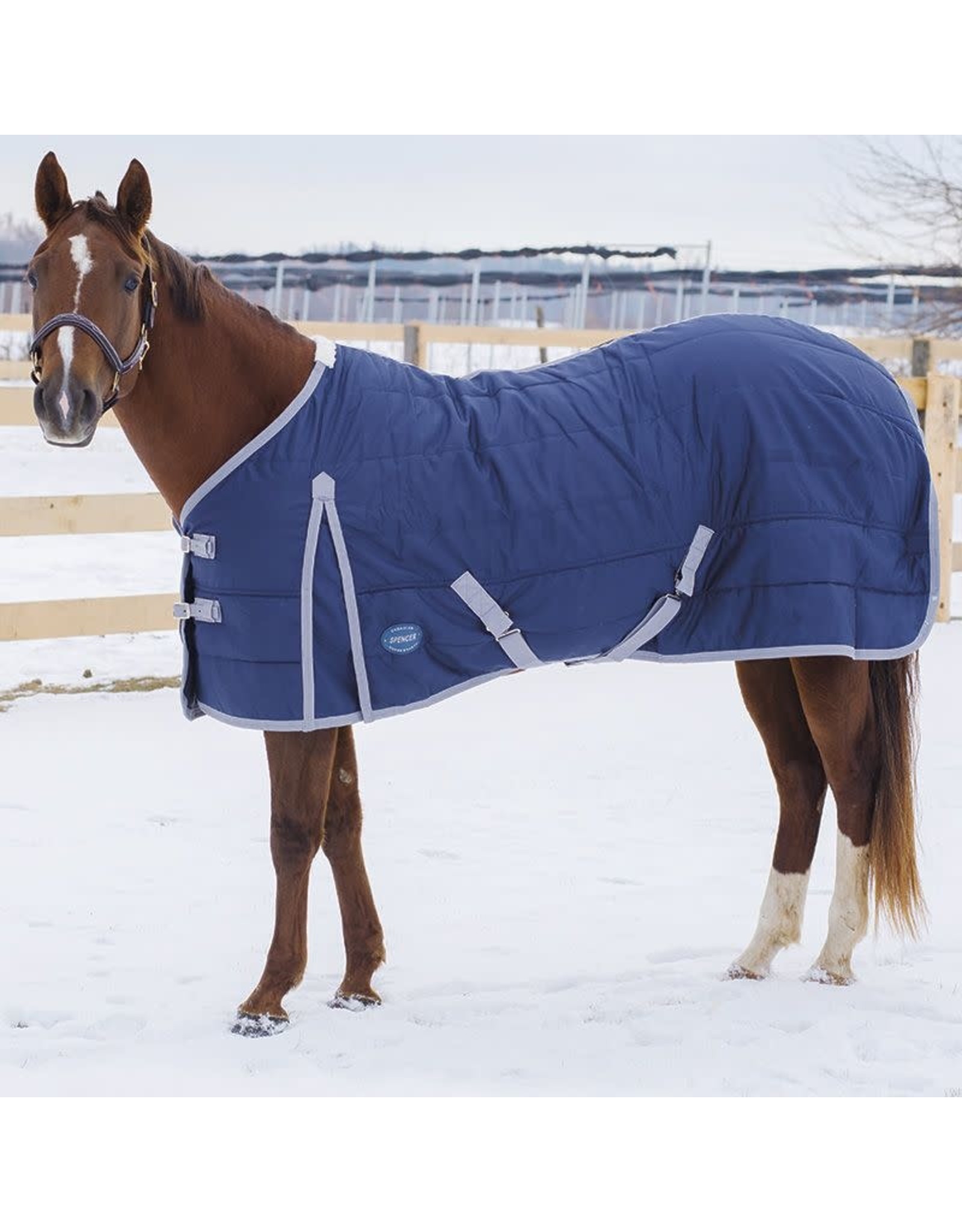 Canadian Horsewear Spencer Insulator Stable Blanket