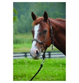 Western Show Halter with Lead - Hampton Riding Centre