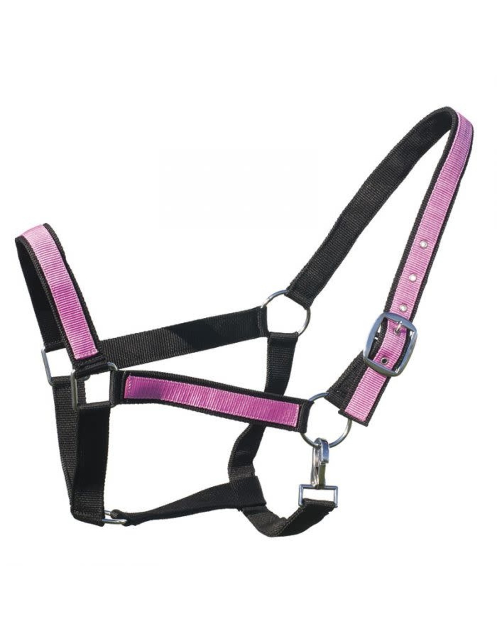 Ger-Ryan Nylon Draft Halter 2"