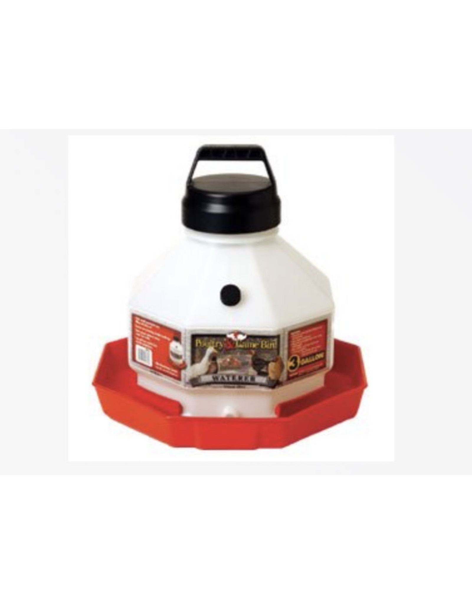 Little Giant Plastic Poultry Fount 3 GAL