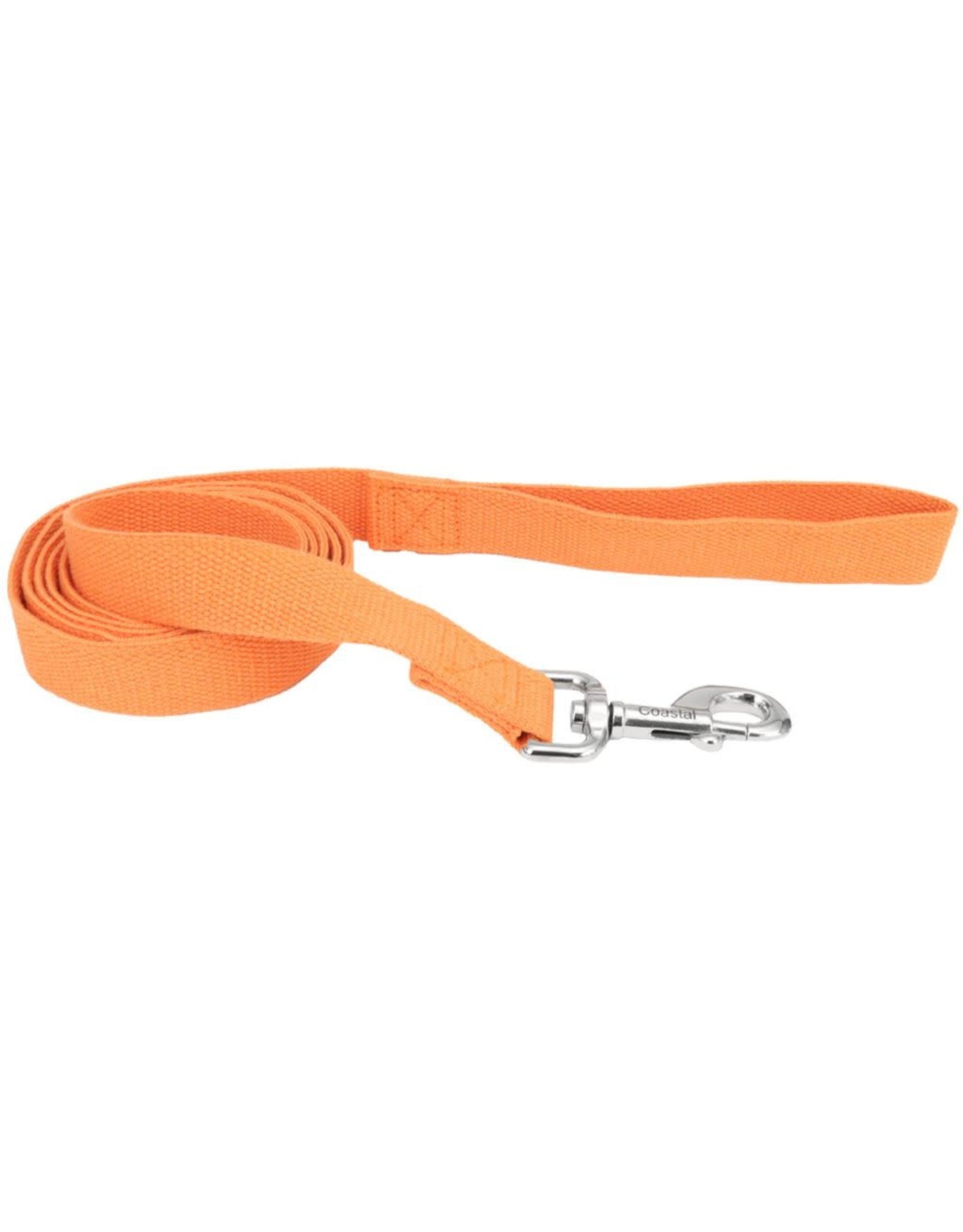 Coastal Pet Products Soy Lead Pumpkin  6' x 1"