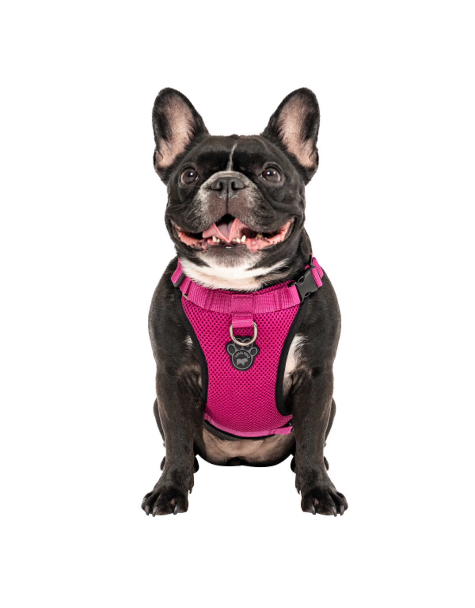 Canada Pooch Canada Pooch Everything Harness Mesh