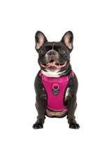 Canada Pooch Canada Pooch Everything Harness Mesh