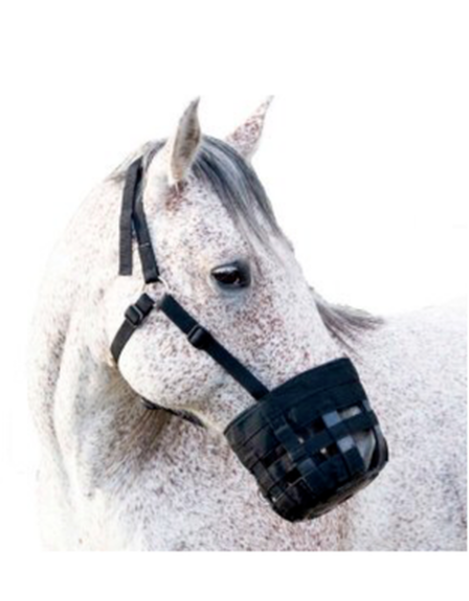 Best Friend Best Friend Clip-On Grazing Muzzle