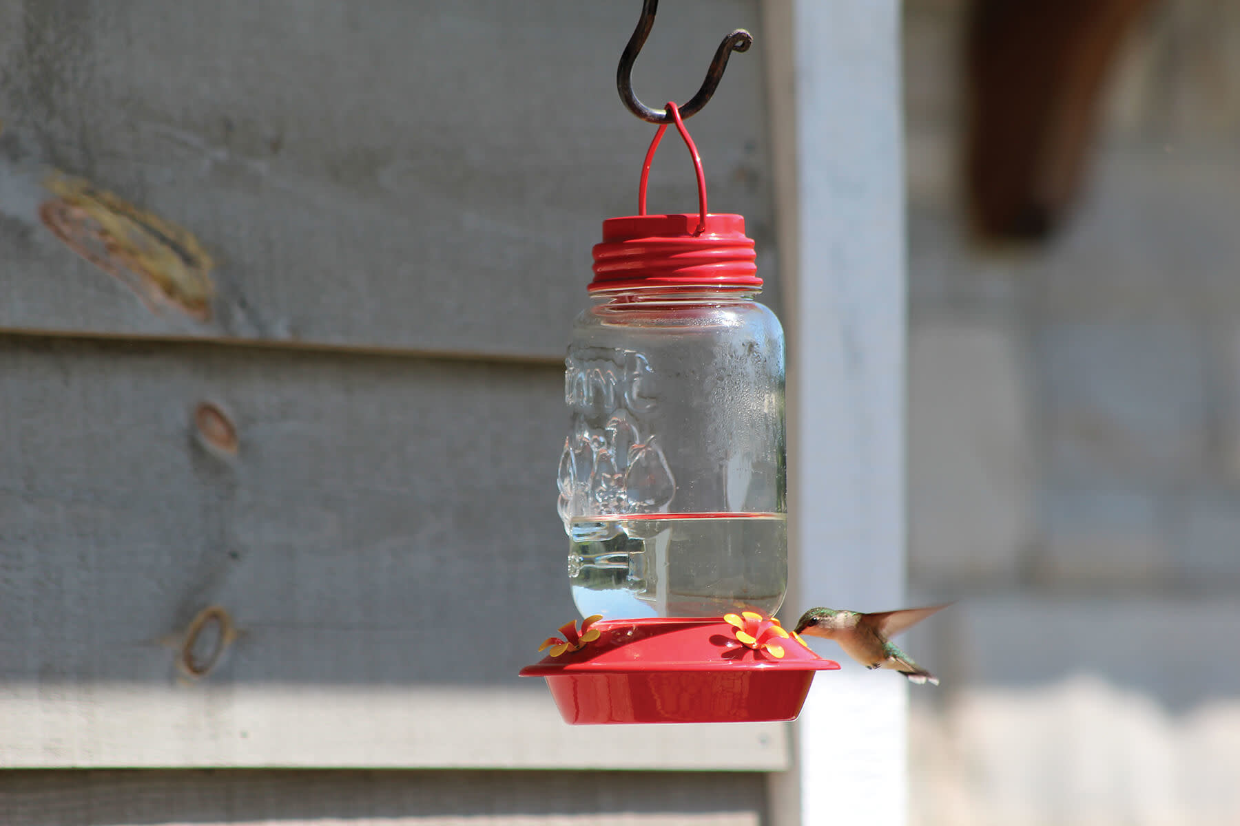 Mason Jar Hummingbird Feeder The Rusty Spur Farm, Feed & Pet