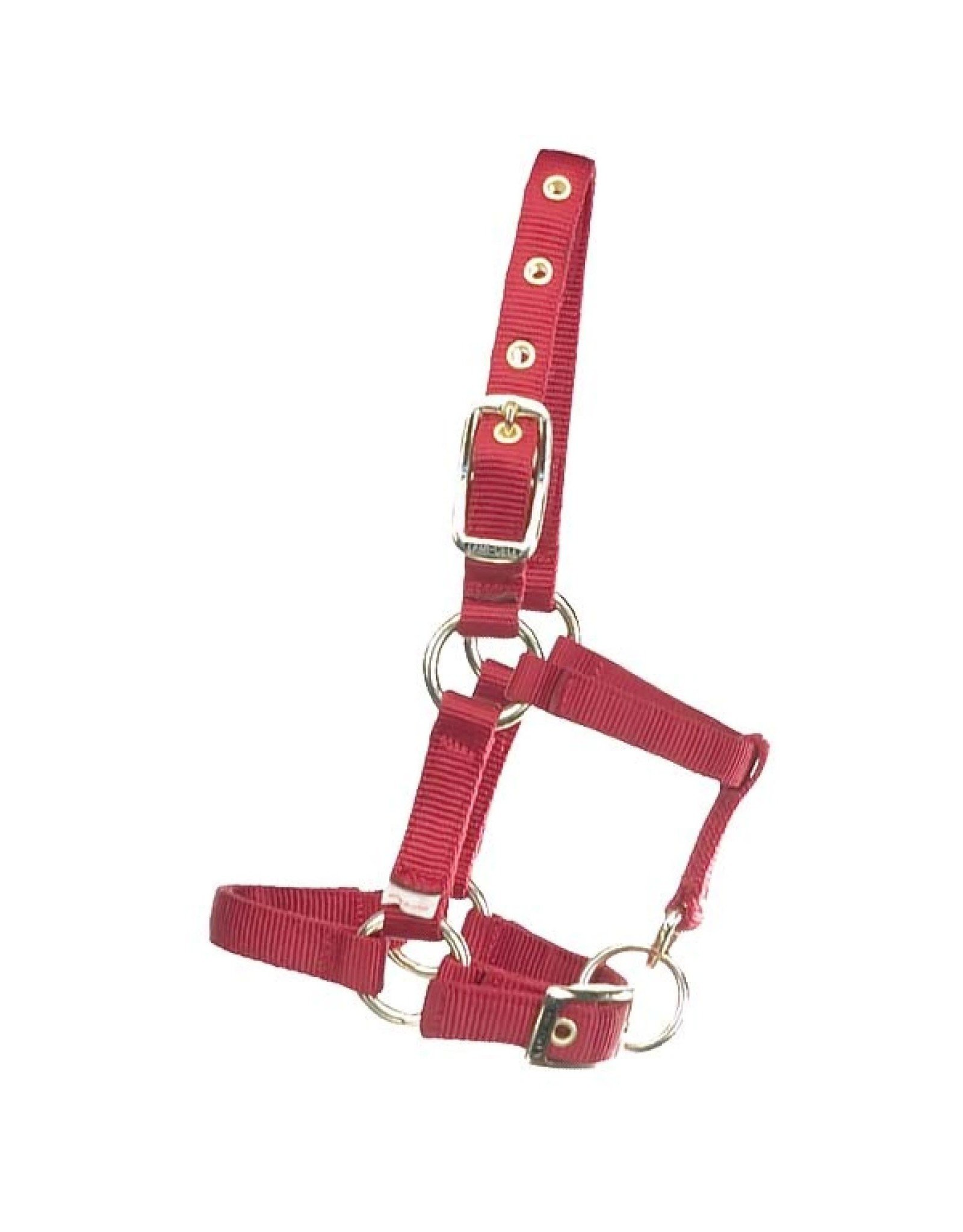 Hamilton Hamilton Mini Halter