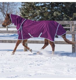 Canadian Horsewear Canadian Horsewear 160gm Insulated Rainsheet - 72” Plum Diablo