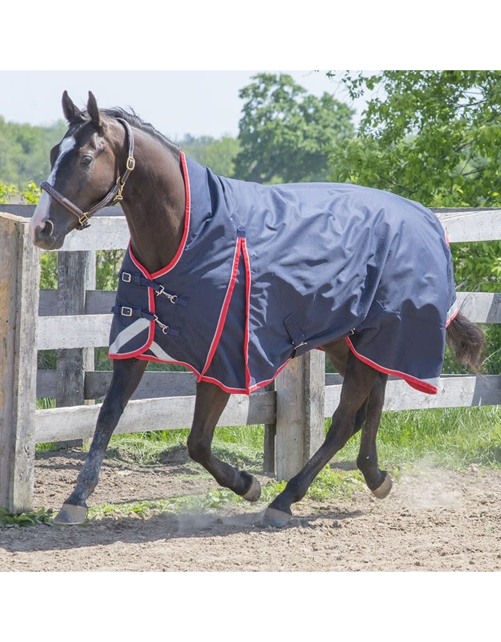 Canadian Horsewear Canadian Horsewear Rainsheet - Monarch