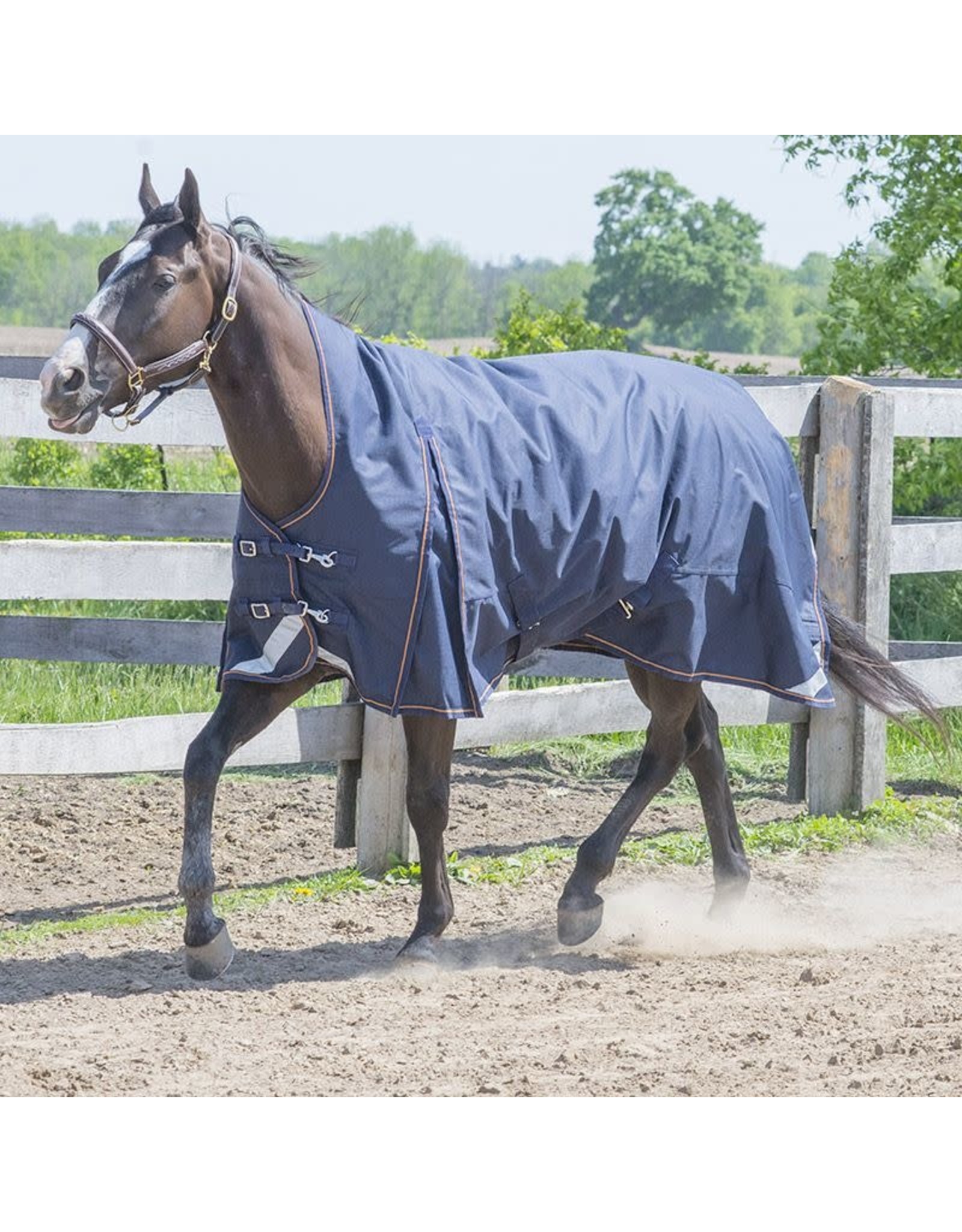 Canadian Horsewear Canadian Horsewear Rainsheet - Bronco