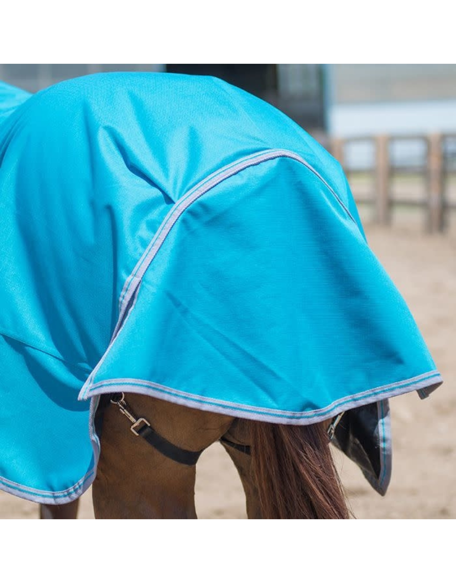 Canadian Horsewear Canadian Horsewear 160gm Insulated Rainsheet - 81” Meridian