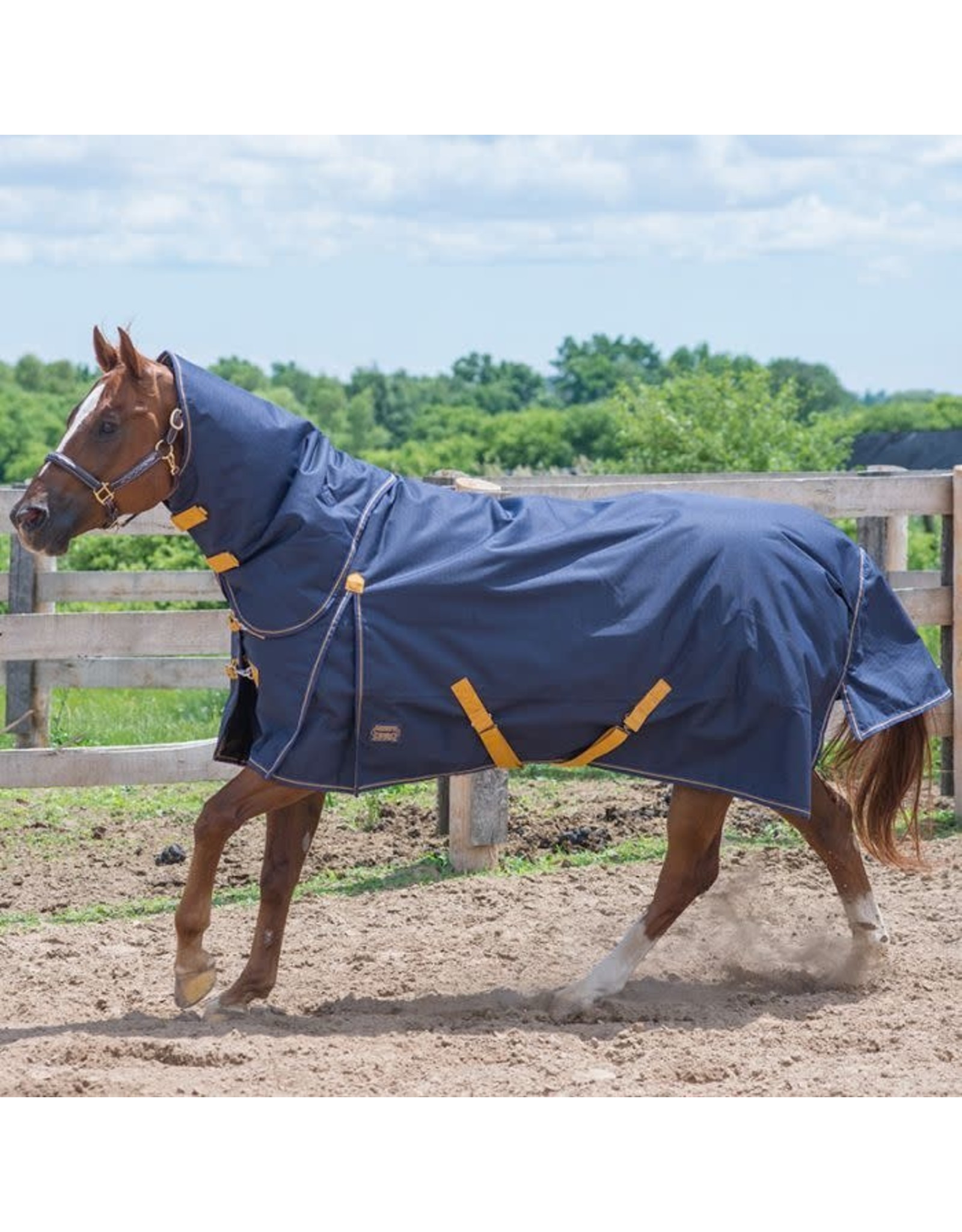 Canadian Horsewear Canadian Horsewear 160gm Insulated Rainsheet - 75” Oxford Diablo