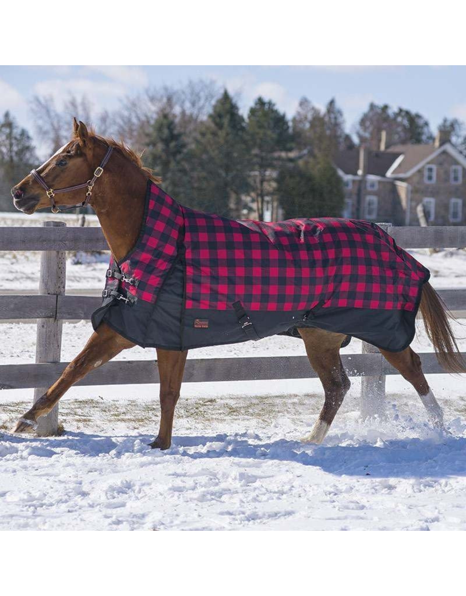 Canadian Horsewear Canadian Horsewear 160gm Insulated Rainsheet - 78” Buffalo Plaid