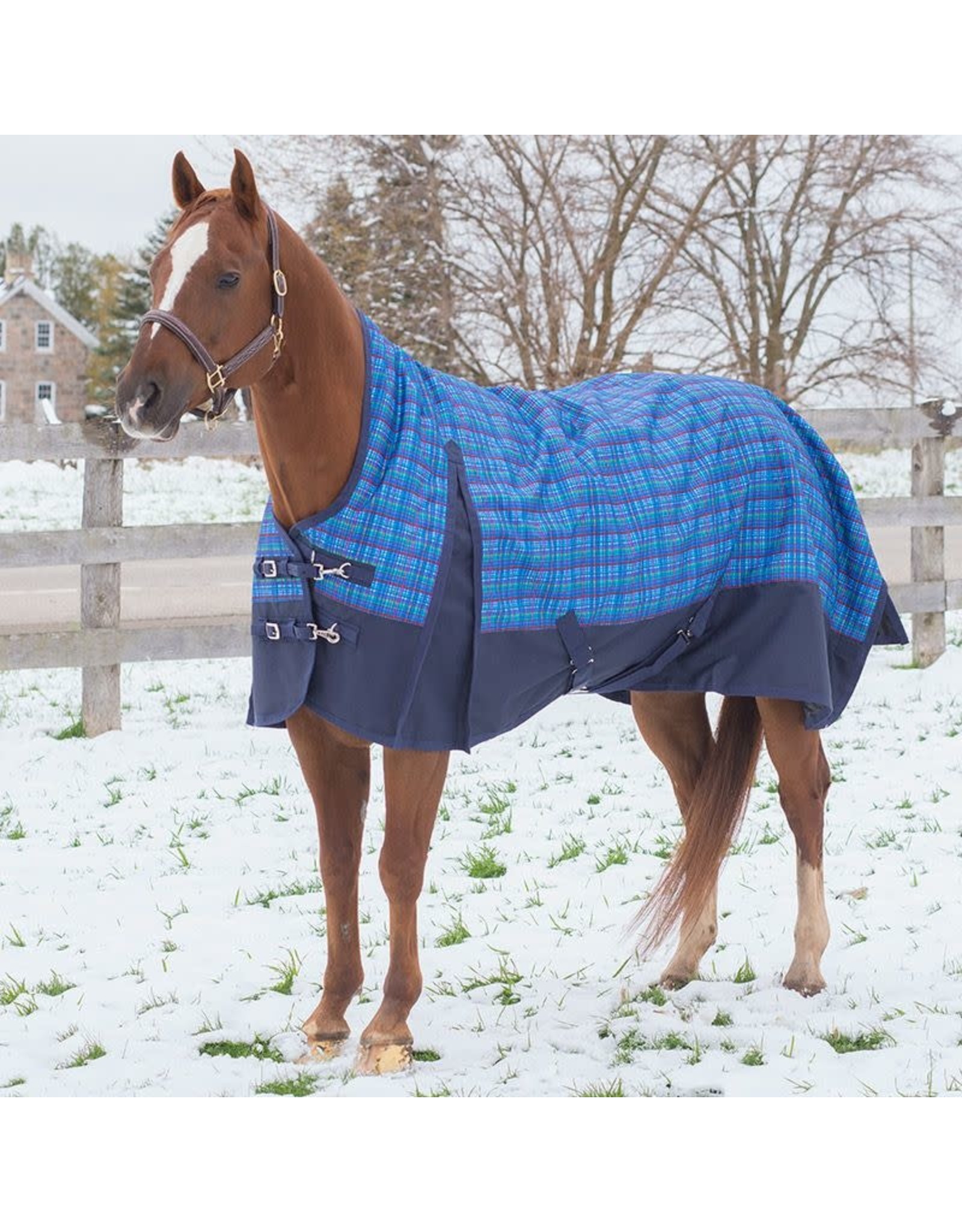 Canadian Horsewear Canadian Horsewear 160gm Insulated Rainsheet - 78” Tartan