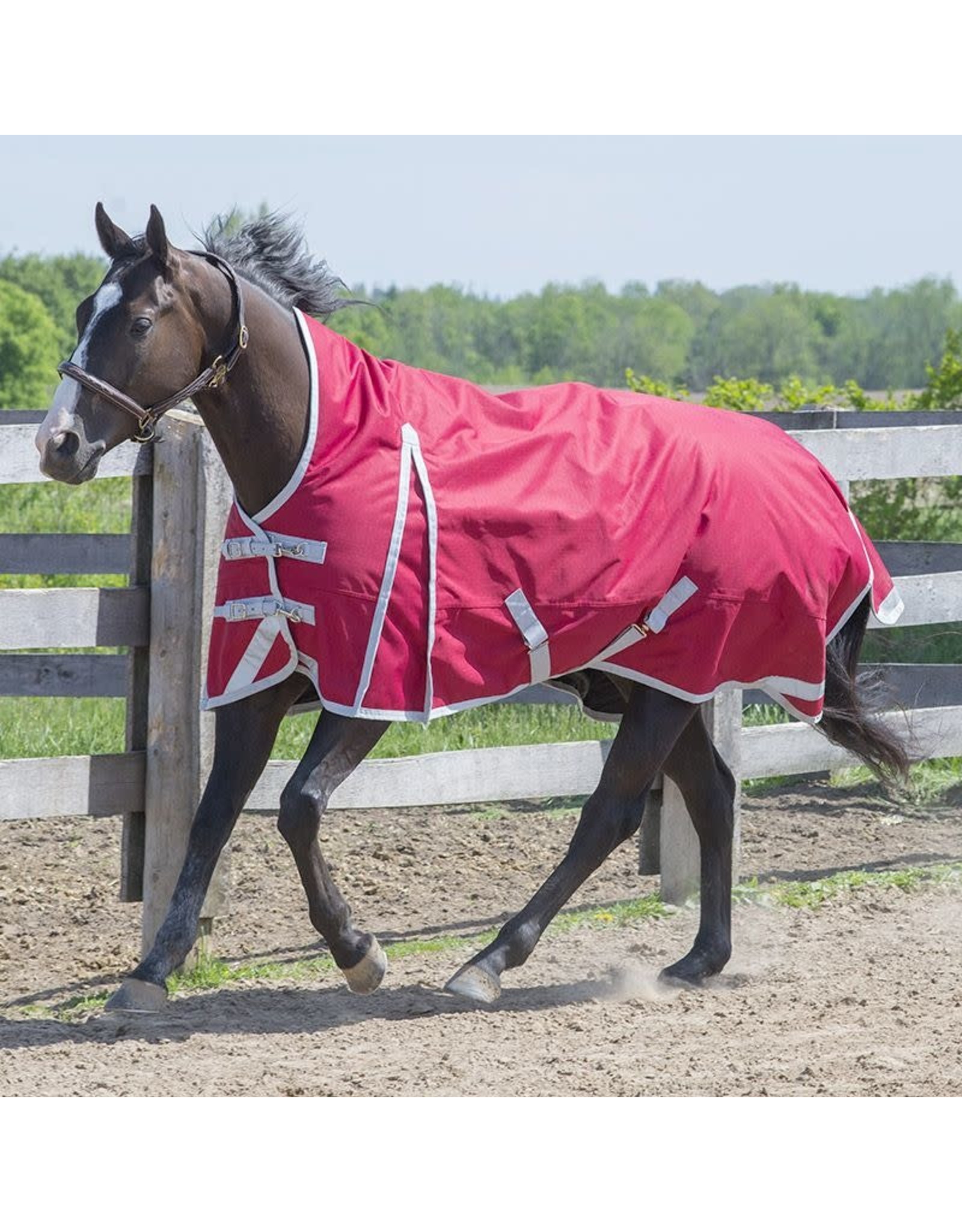 Canadian Horsewear Canadian Horsewear 160gm Insulated Rainsheet - 72” Habanera