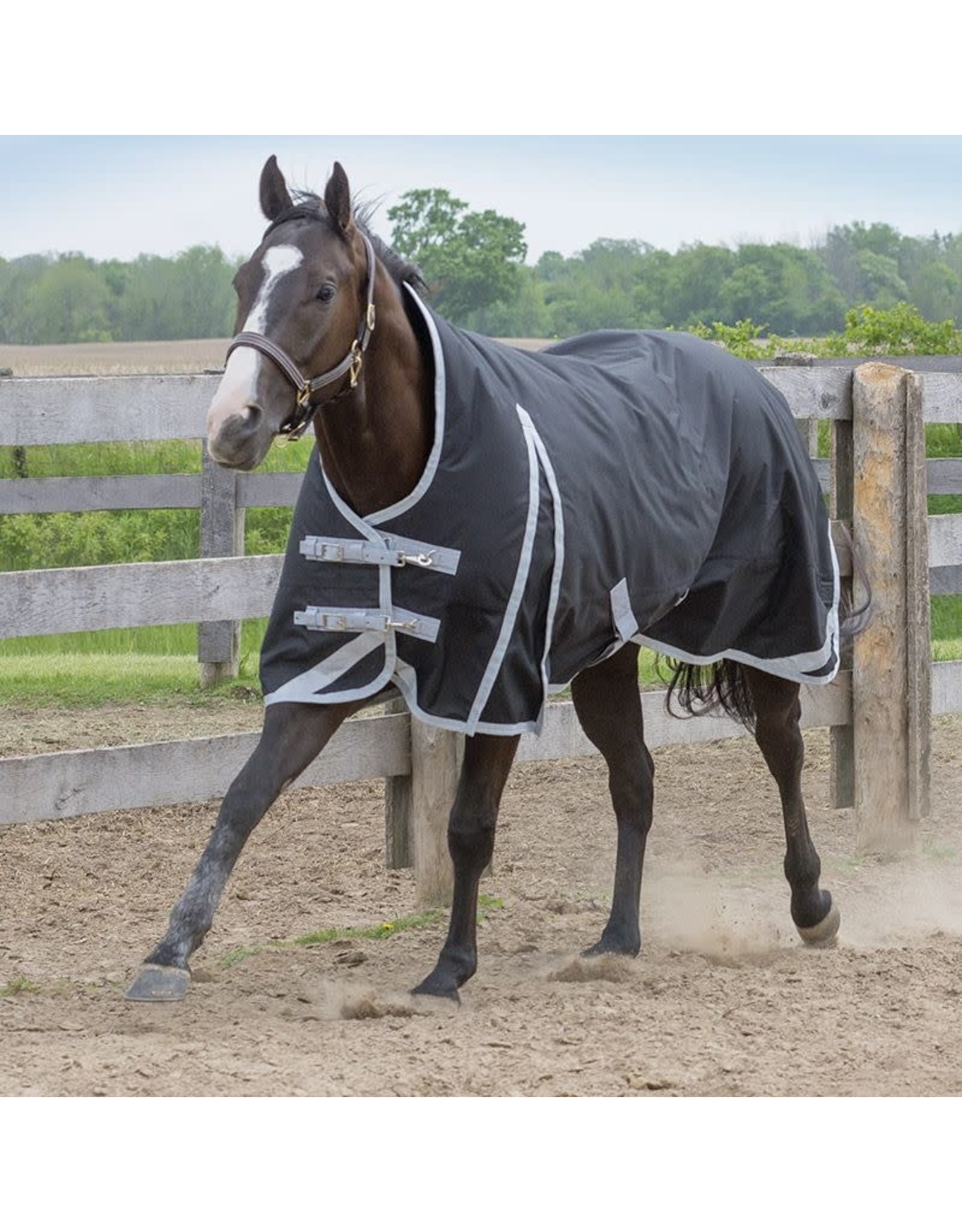 Canadian Horsewear Canadian Horsewear 160gm Insulated Rainsheet - 72” Tuxedo