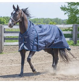 Canadian Horsewear Canadian Horsewear 160gm Insulated Rainsheet - 75” Hurricane