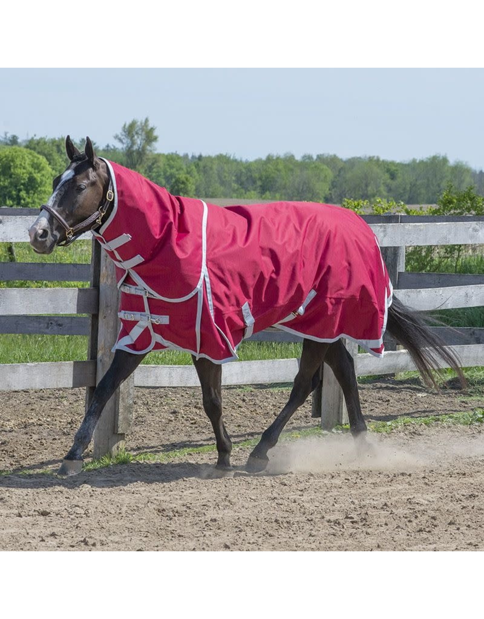 Canadian Horsewear Canadian Horsewear 300gm Turnout - 56” Matador Diablo