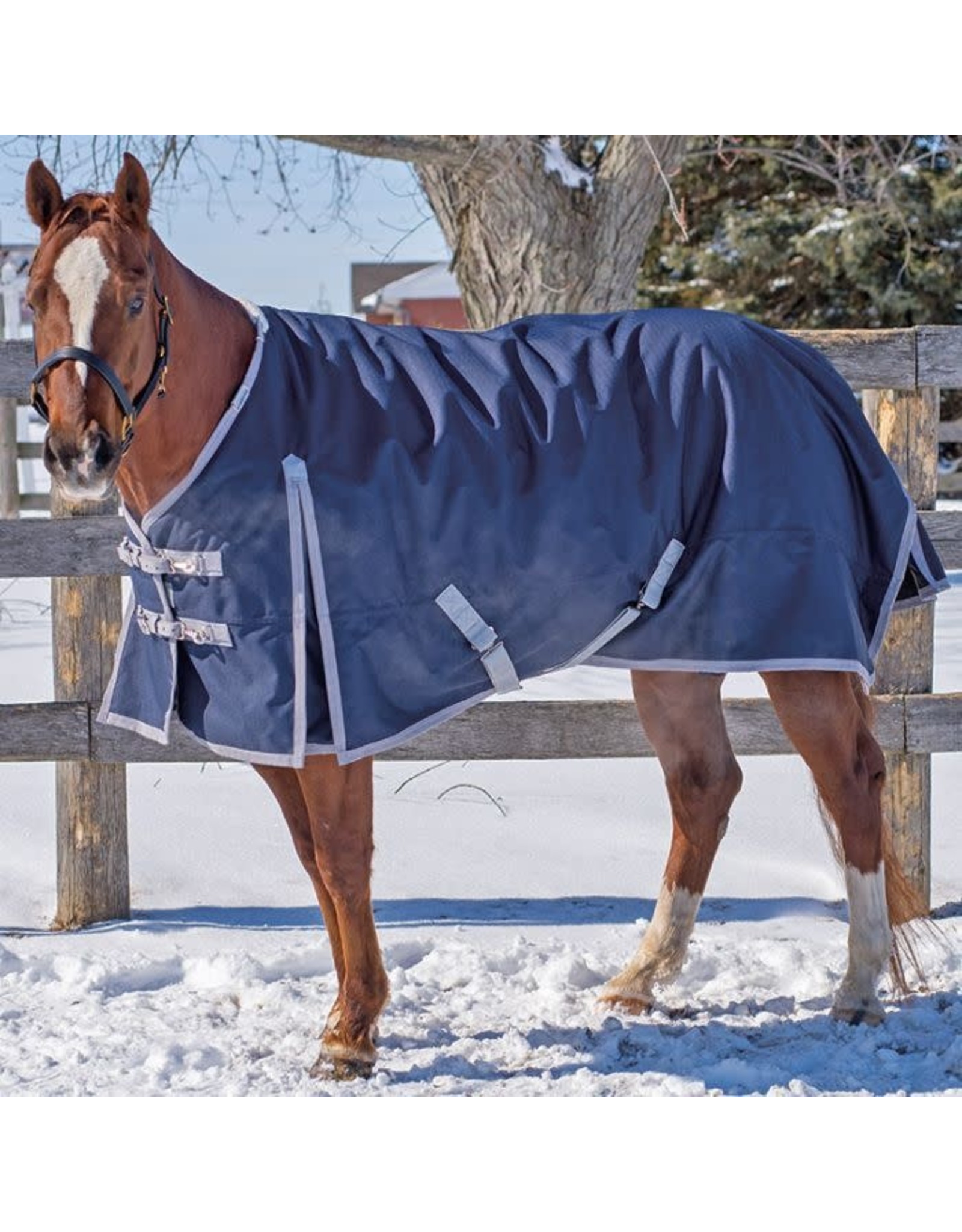 Canadian Horsewear Canadian Horsewear 300gm Turnout - 72” Maxim Original