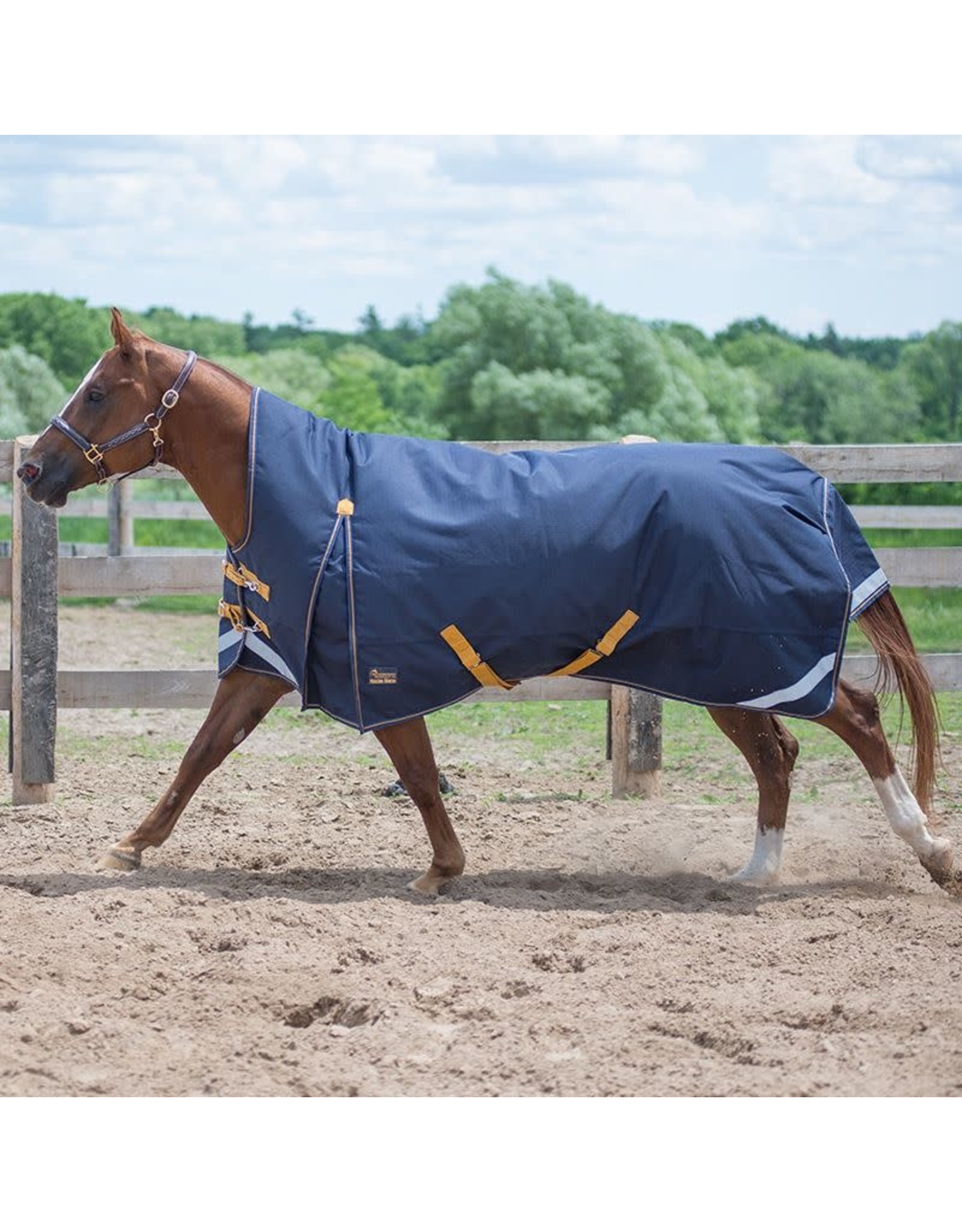 Canadian Horsewear Canadian Horsewear 300gm Turnout - Oxford 69”