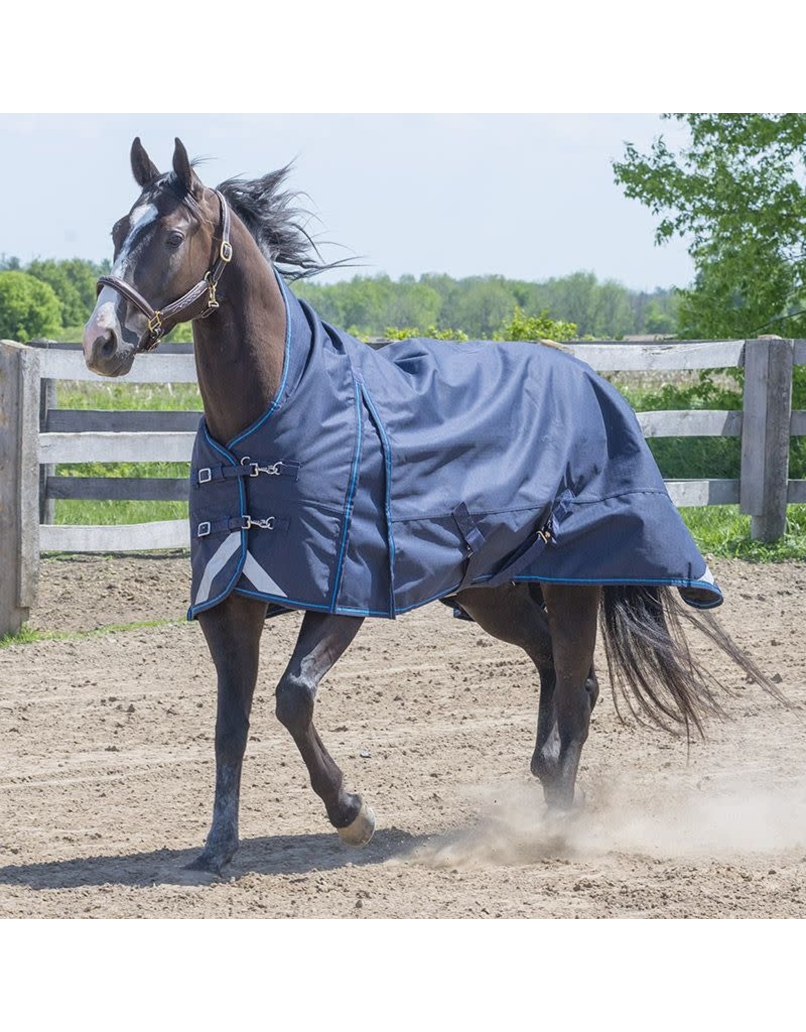 Canadian Horsewear Canadian Horsewear 160gm Insulated Rainsheet - 56” Hurricane