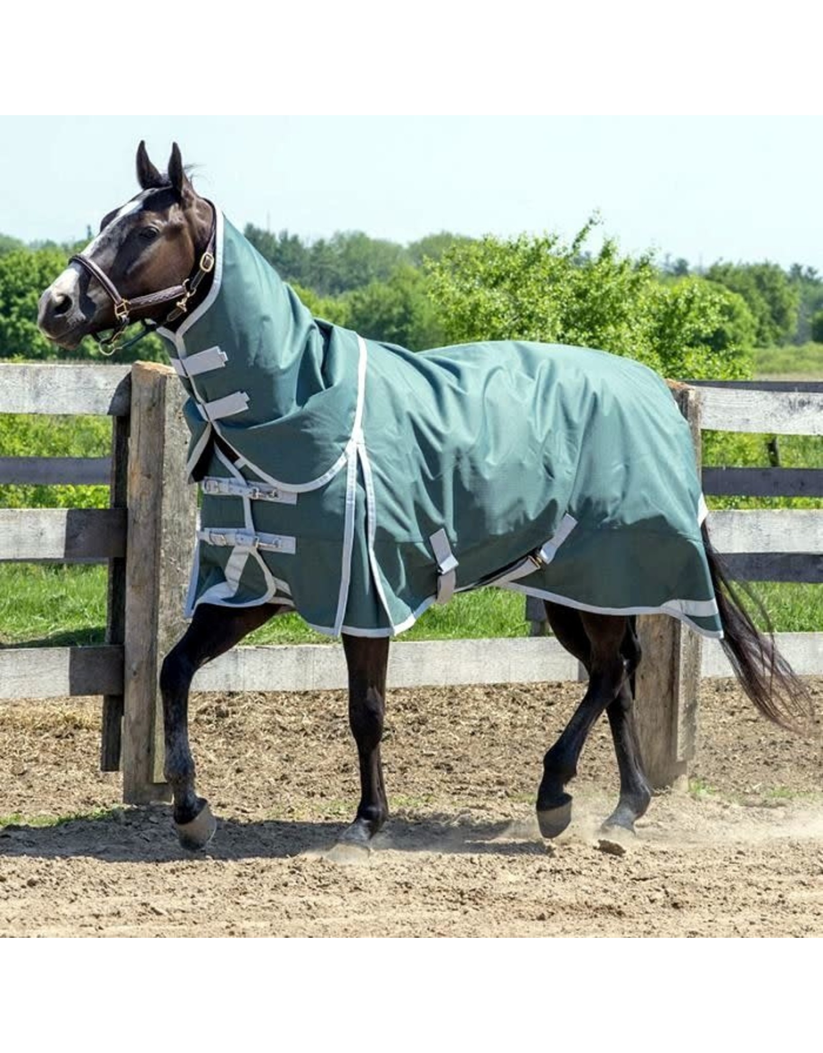 Canadian Horsewear Canadian Horsewear 160gm Insulated Rainsheet - 63” Fenway Diablo