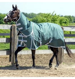 Canadian Horsewear Canadian Horsewear 160gm Insulated Rainsheet - 63” Fenway Diablo