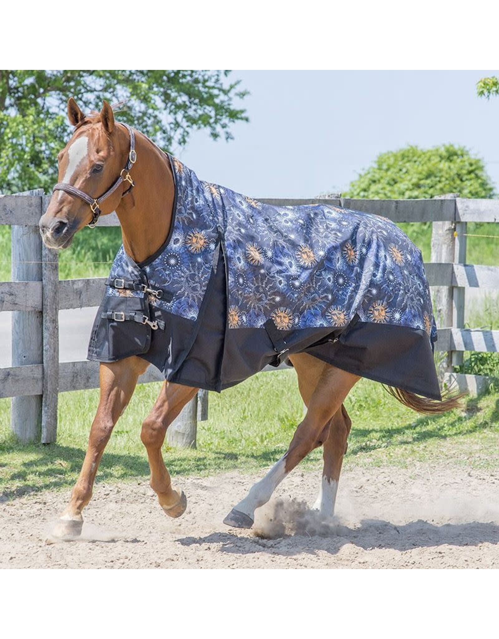 Canadian Horsewear Canadian Horsewear 160gm Insulated Rainsheet - 63” Celestial