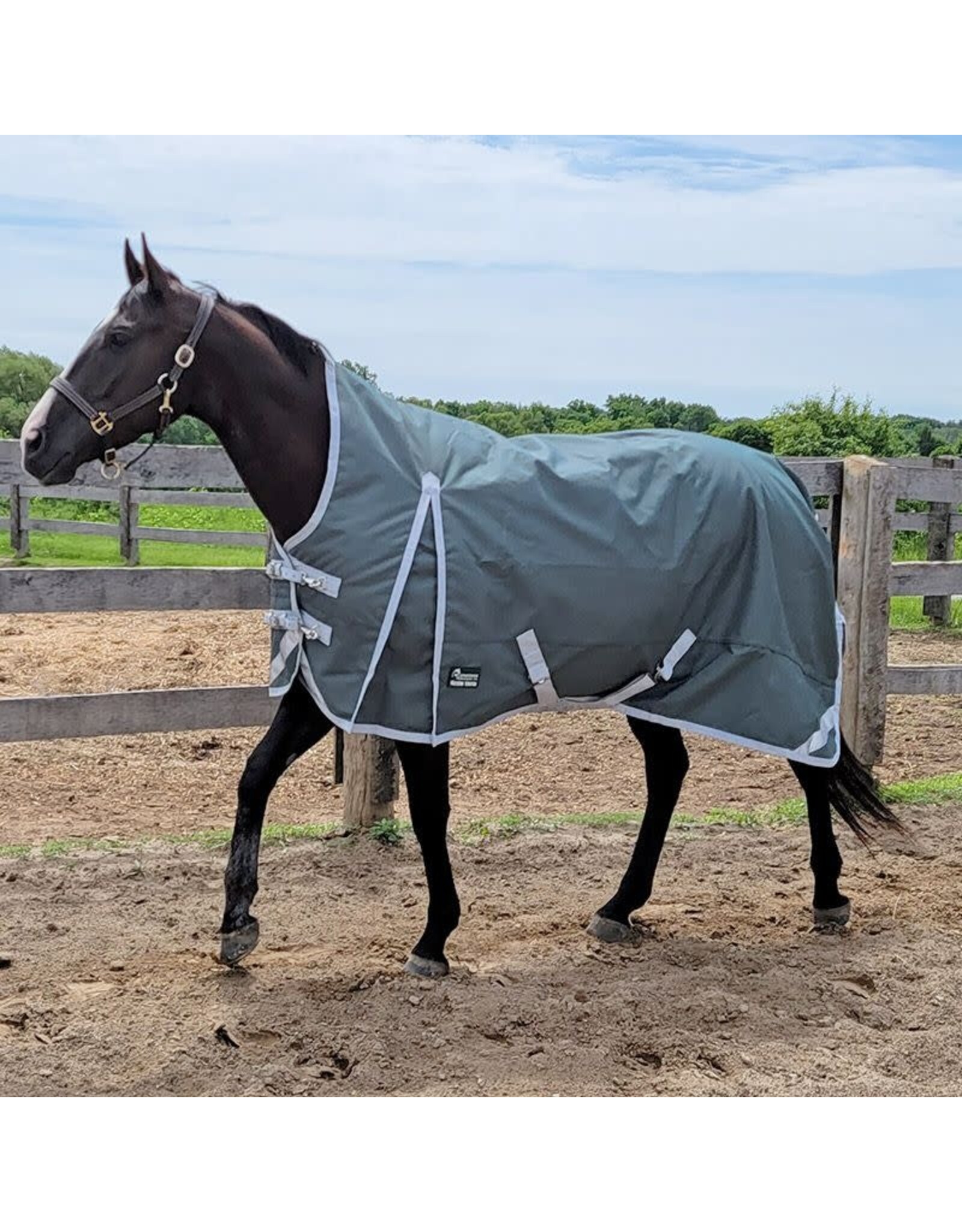 Canadian Horsewear Canadian Horsewear 160gm Insulated Rainsheet - 75” Fenway