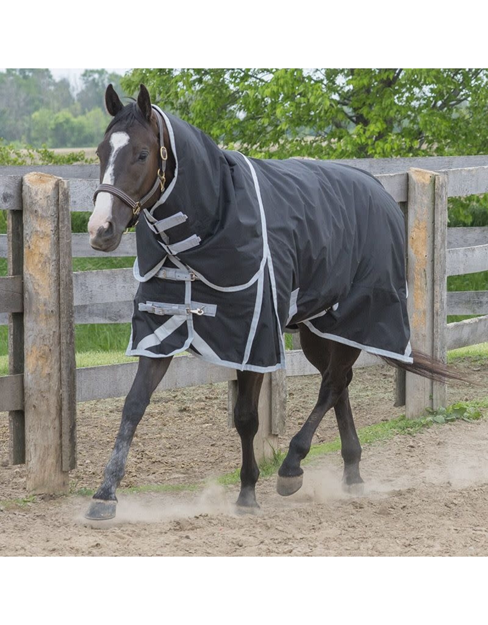 Canadian Horsewear Canadian Horsewear 160gm Insulated Rainsheet - 75” Tuxedo Diablo