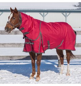 Canadian Horsewear Canadian Horsewear 300gm Turnout - 81” Rosewood Diablo