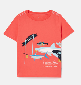 Joules Joules Archie Shark Short Sleeve T-shirt