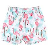 Rufflebutts Swim Trunks