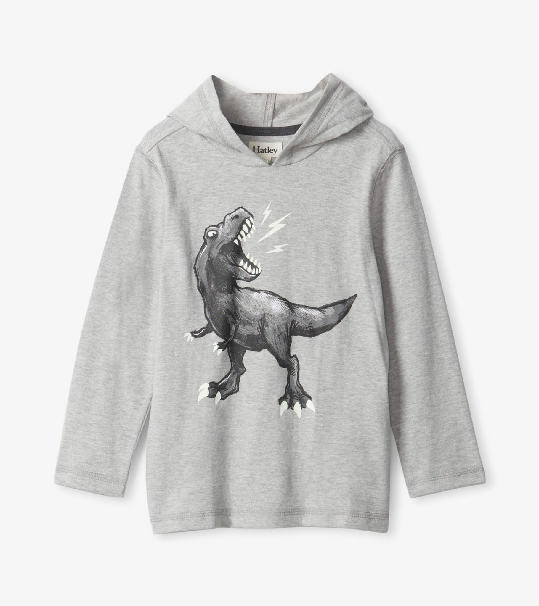 Hatley Hatley Dino Long Sleeve Hoodie Tee