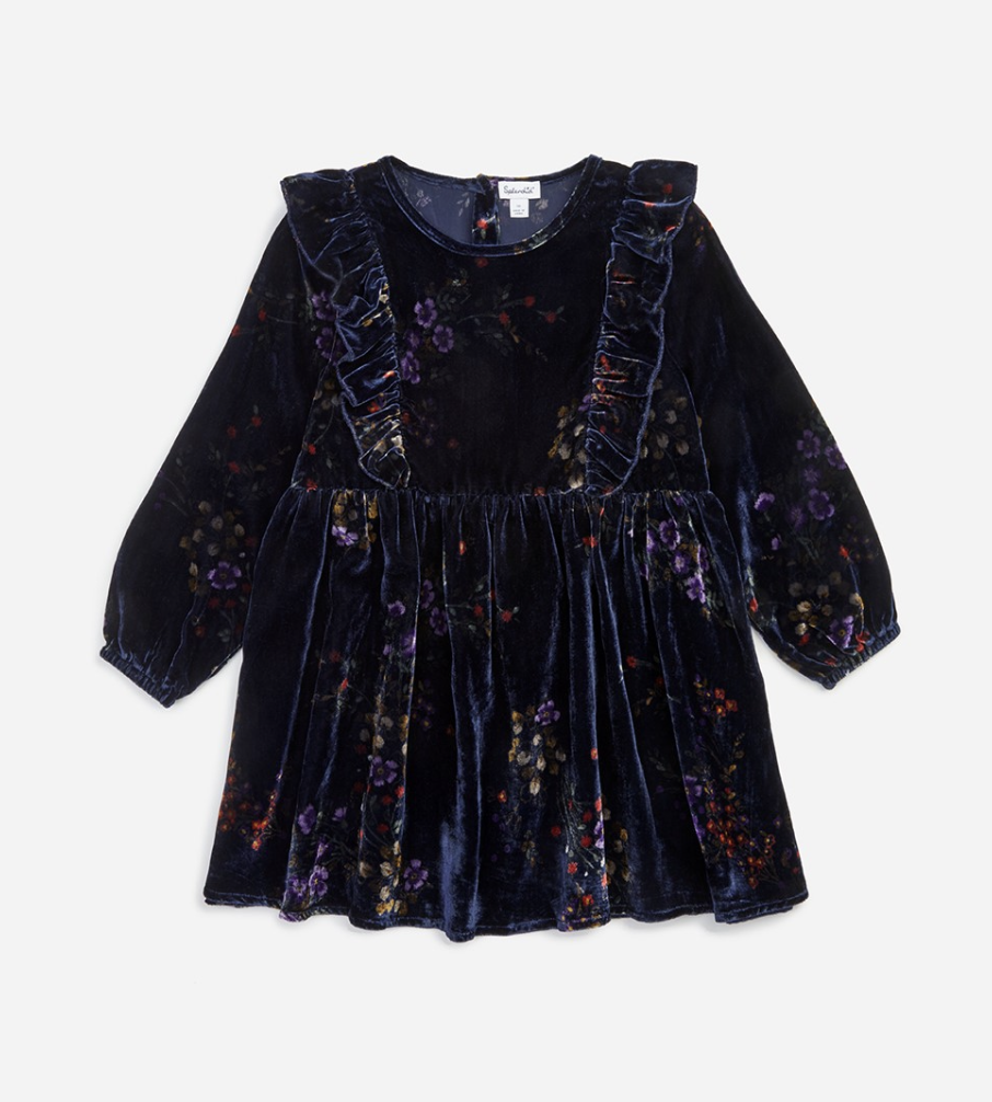 Splendid Splendid Floral Velvet Dress