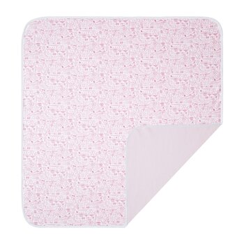 Joy Street Joy Street Boston Baby Blanket