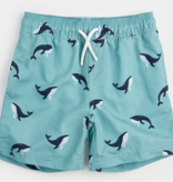 Petit Lem Petit Lem Whale Swim Shorts