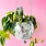 Rock Paper Scissors Disco Ball 6" Hanging Planter