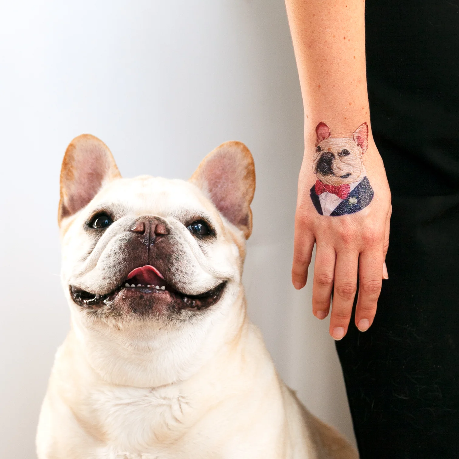Tattly Tattly French Bulldog Tattoo Pair