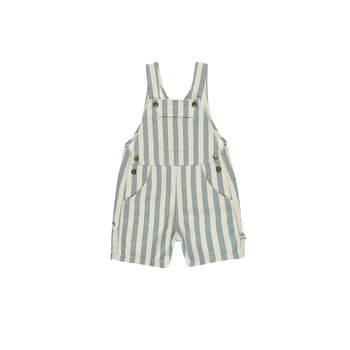 Rylee and Cru Rylee & Cru Denim Shortall