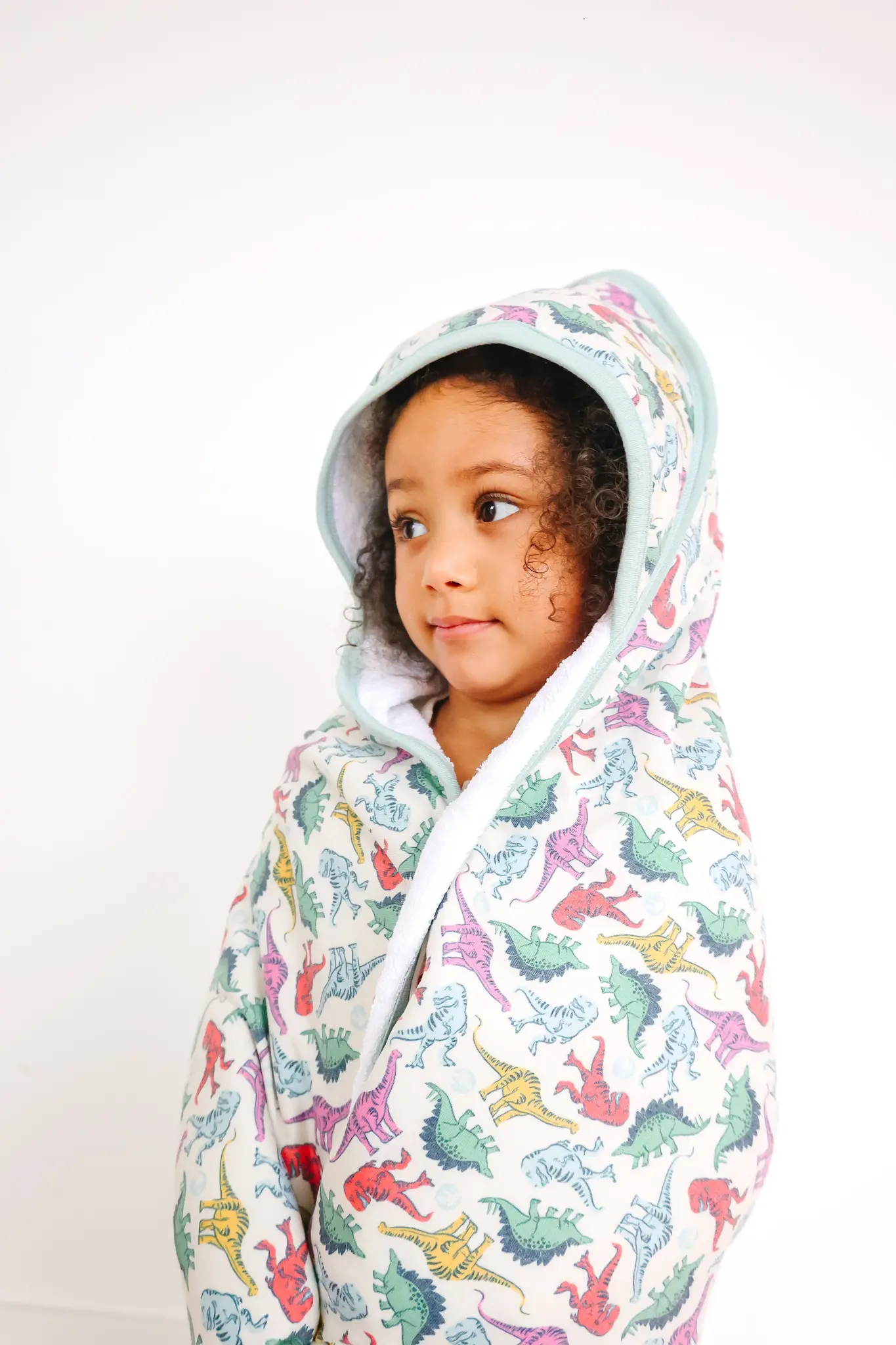 Copper Pearl Copper Pearl Dinosaurs of Jurassic Park Premium Baby Knit Hooded Towel