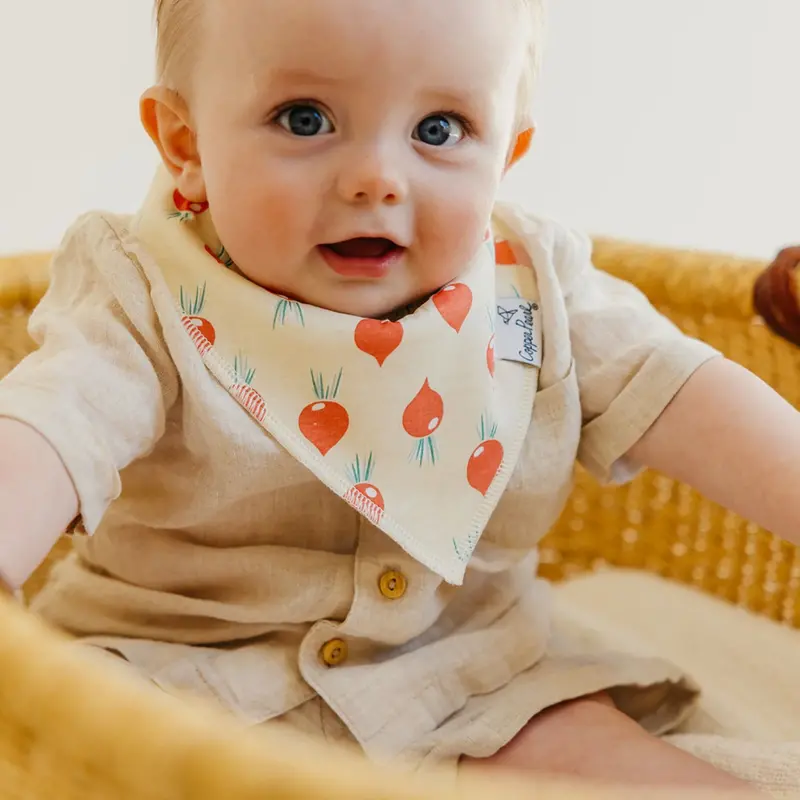 Copper Pearl Copper Pearl Veggies Baby Bandana Bib Set (4-pack)