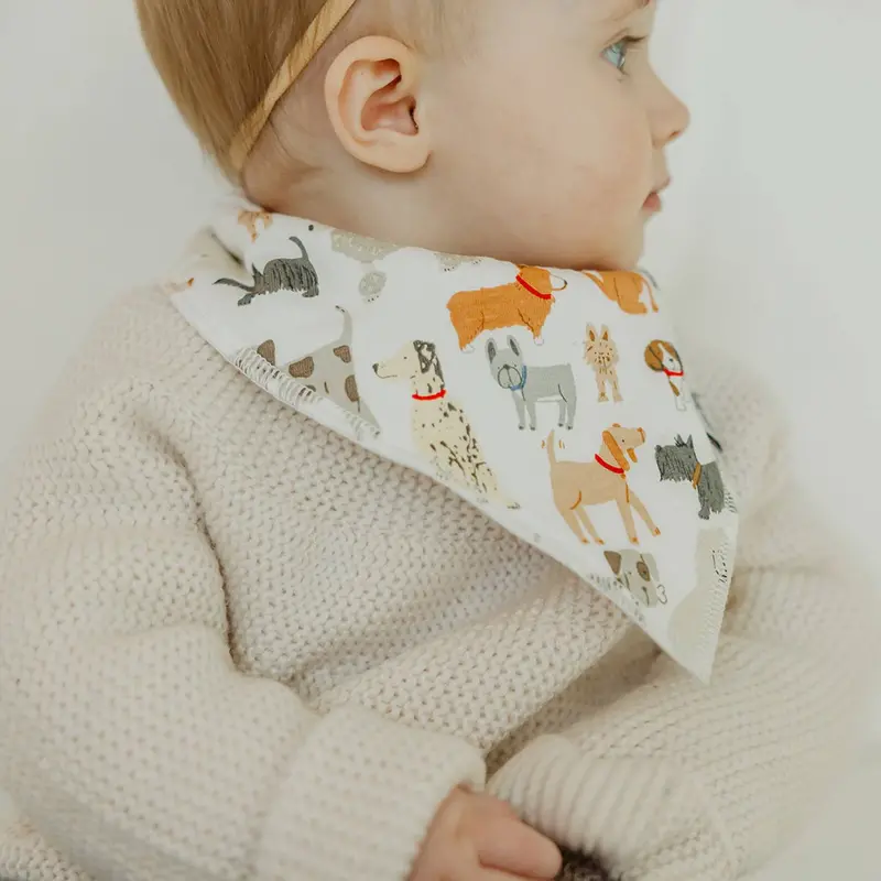 Copper Pearl Copper Pearl Rufus Baby Bandana Bib Set (4-pack)