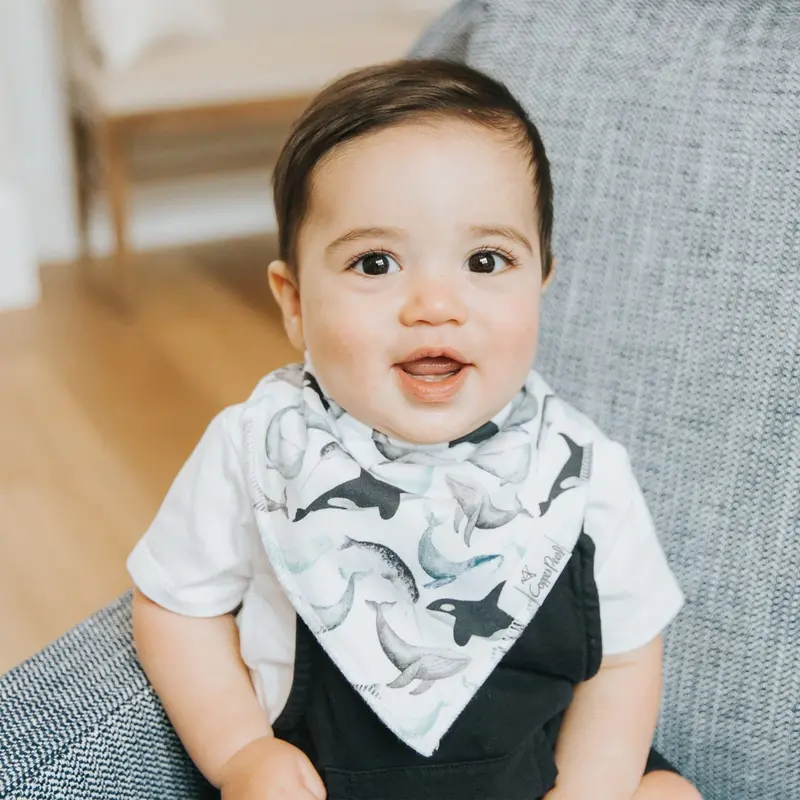 Copper Pearl Copper Pearl Kai Baby Bandana Bib Set (4-pack)